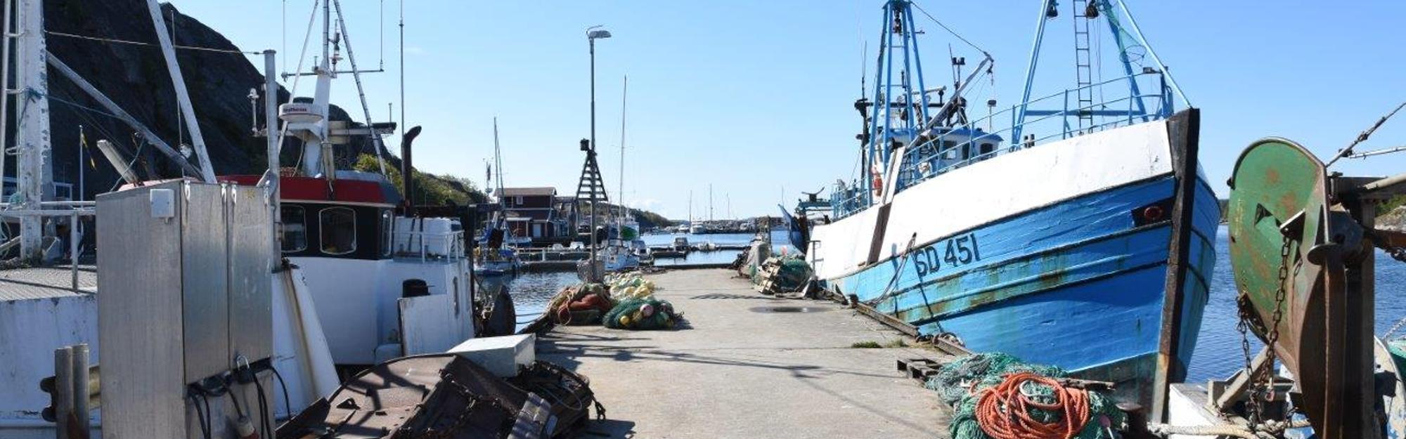 Fiskebåtar vid en brygga i Grebbestad hamn