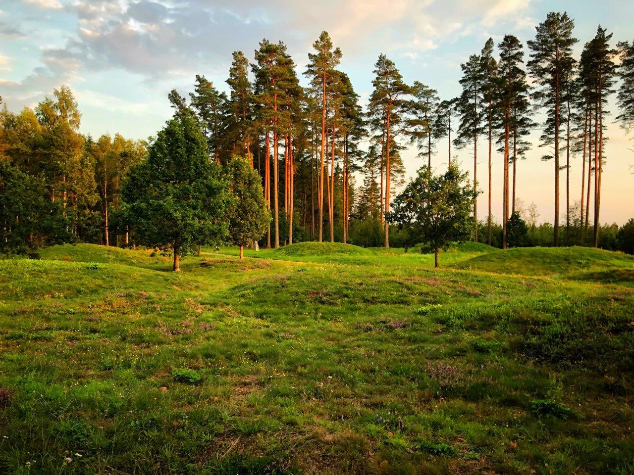Skog och gräsfält i Hällevadsholm
